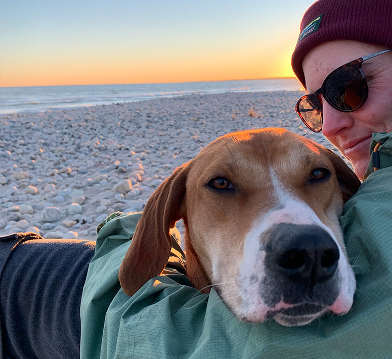 volunteer at the beach with an adoptable dog new bedford ma
