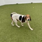 Trudy3