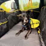 Bella-car