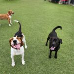 Oakley-Kona-Kate